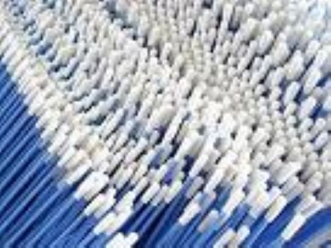 Foam Swabs